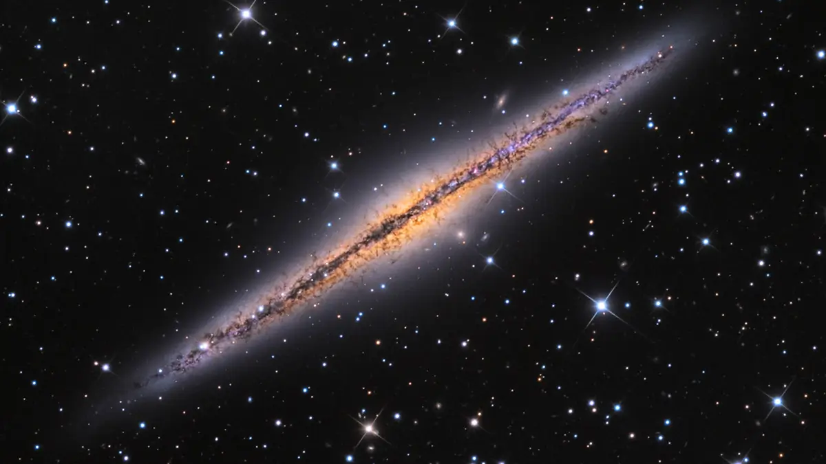 stars in the milky way